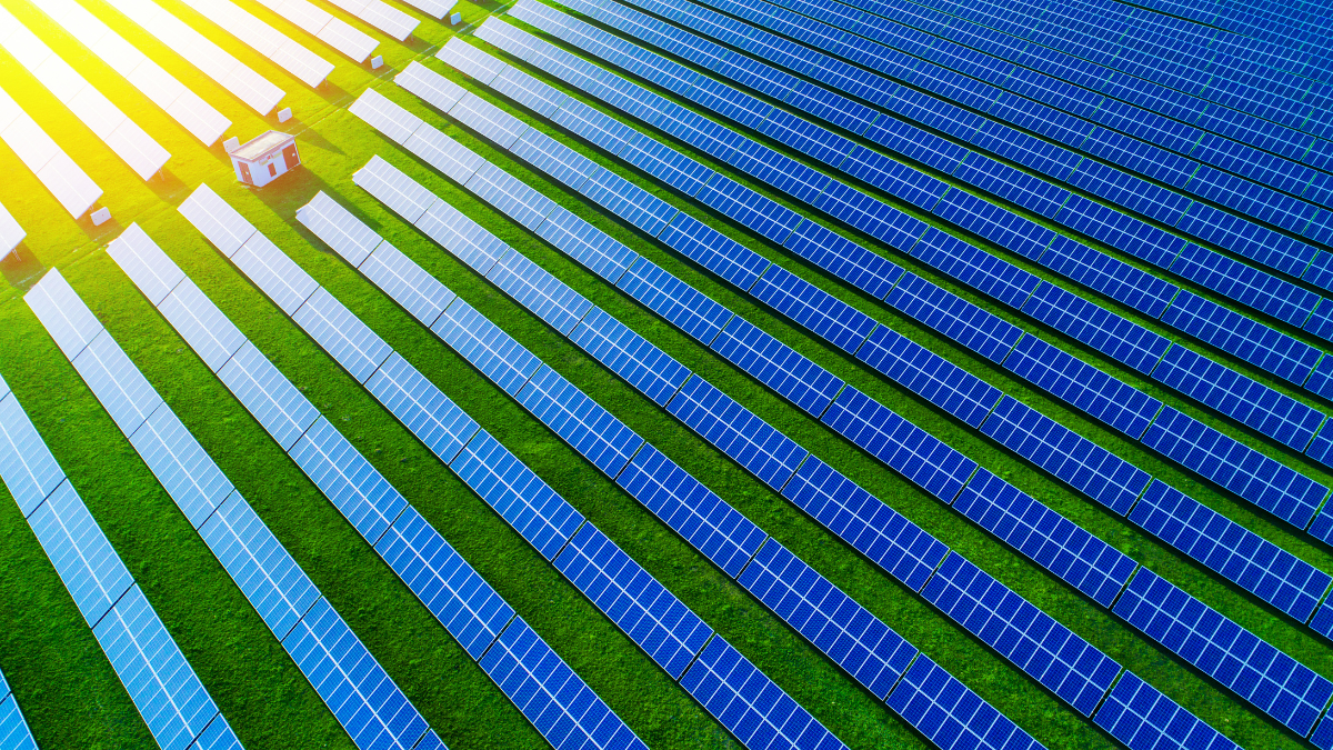 Large scale solar and wind farm hybrid project under a clear sky representing renewable energy growth.