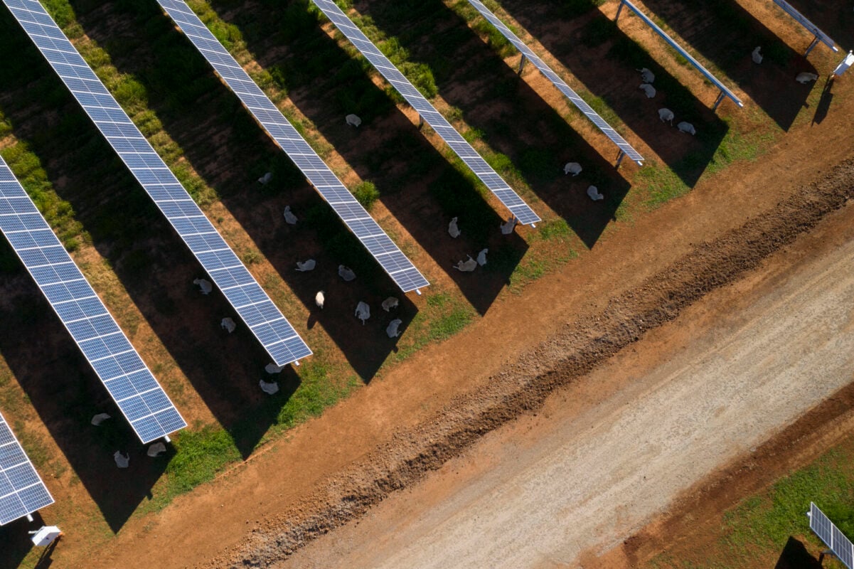 Large scale solar farm integrated with shipping container sized battery storage units in a rural landscape.