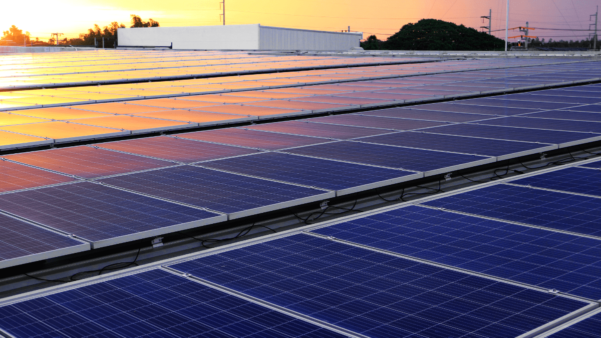 Large scale commercial rooftop solar array showing industrial scale power generation