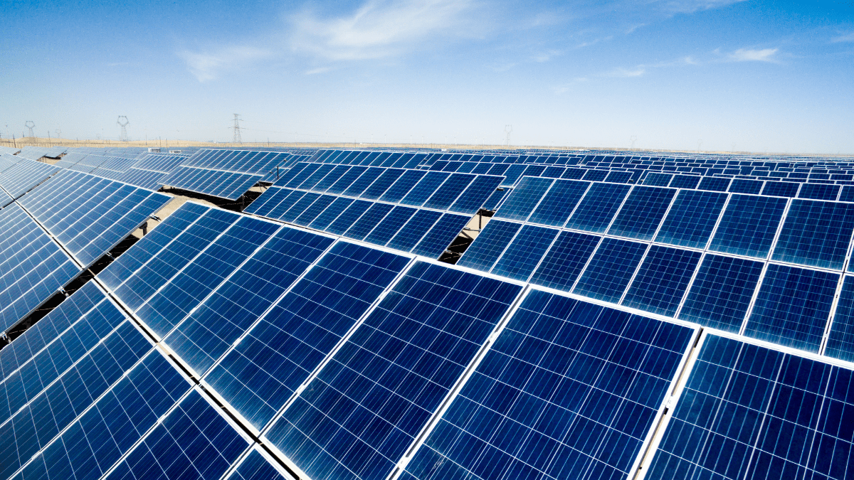 A grid of solar panels representing distributed energy generation
