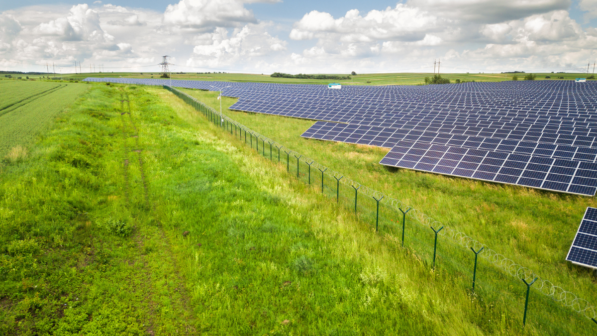 Aerial view of a large-scale solar farm representing the shift toward corporate-owned renewable energy assets.