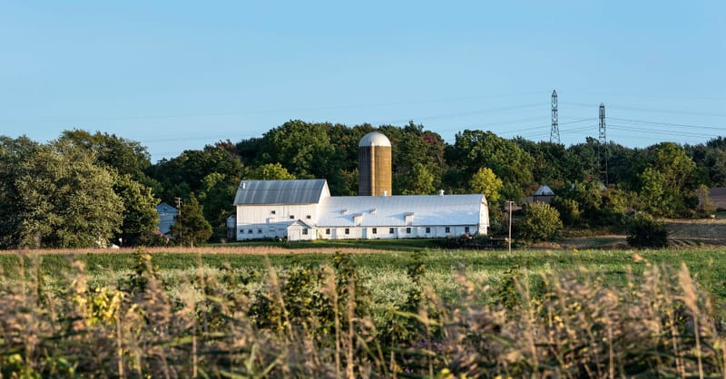 A vertical bifacial solar array integrated into a field of crops under a clear sky.