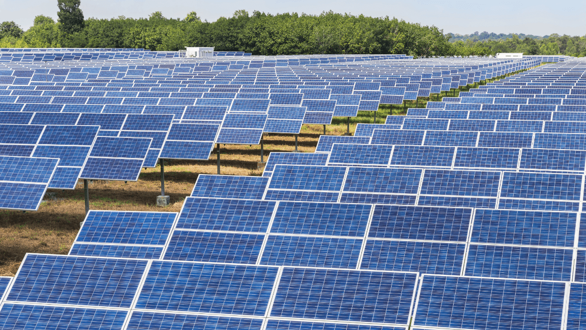 Large scale solar trackers integrated with agricultural land and battery storage enclosures.